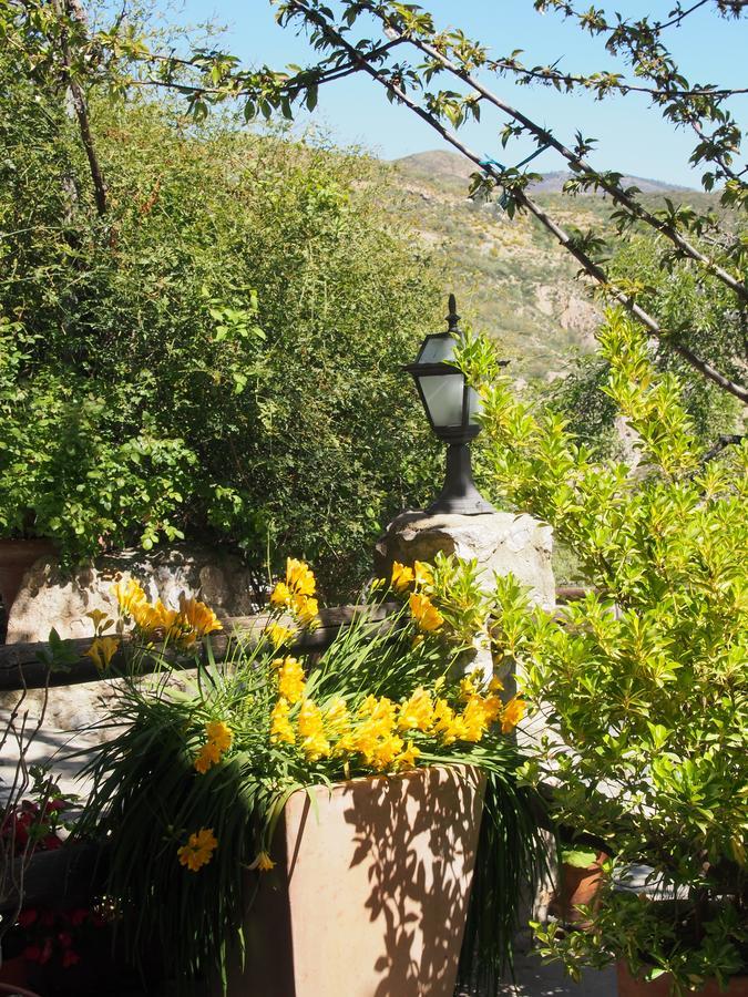 El Huerto De Lobras Apartment Екстериор снимка